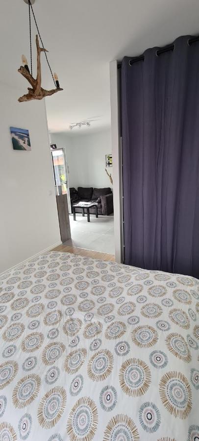 Logement Au Calme Sur Le Bassin D Arcachon Villa Le Teich Luaran gambar